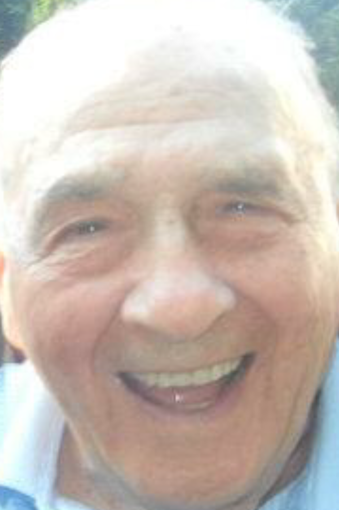 frank b. margiotta