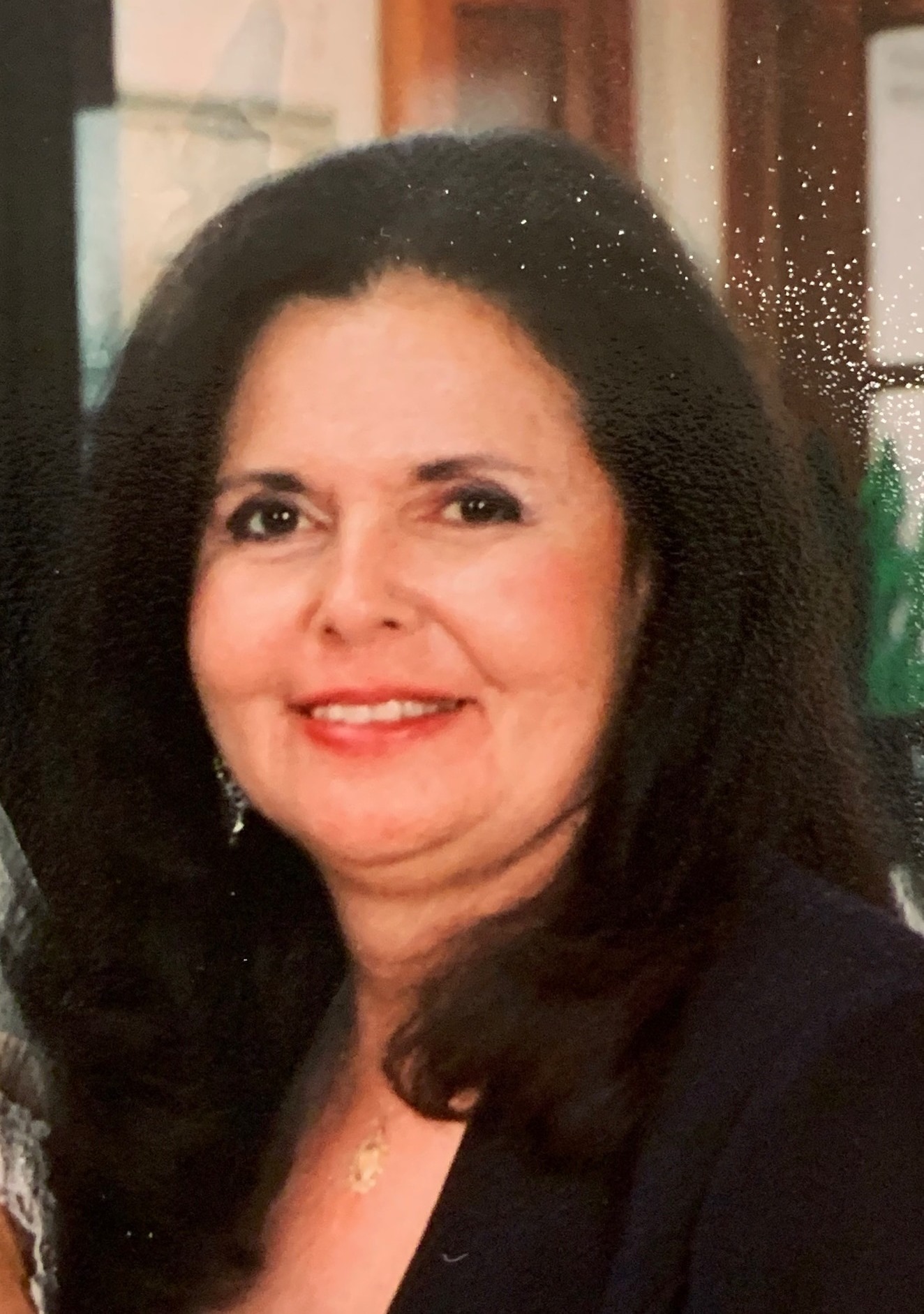 linda puccio