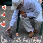 peter romano Gallery