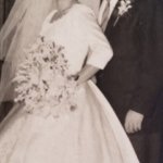 peter romano Gallery