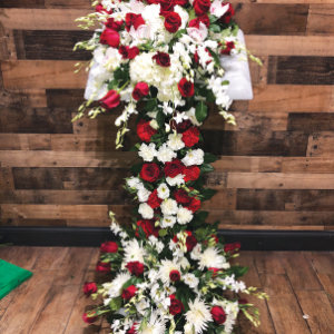 RED AND WHITE ASSORTED BIBLE