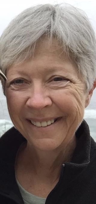 teresa stein