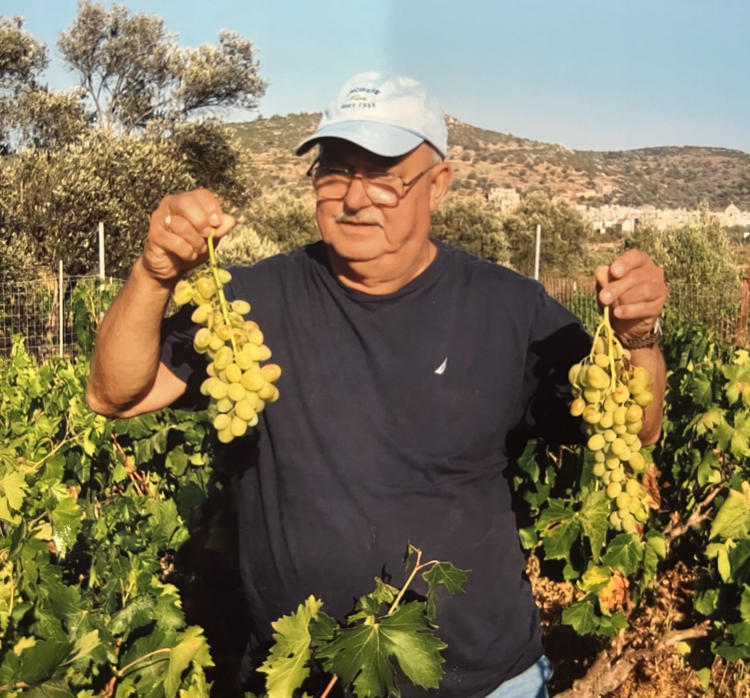 john avgoustidis