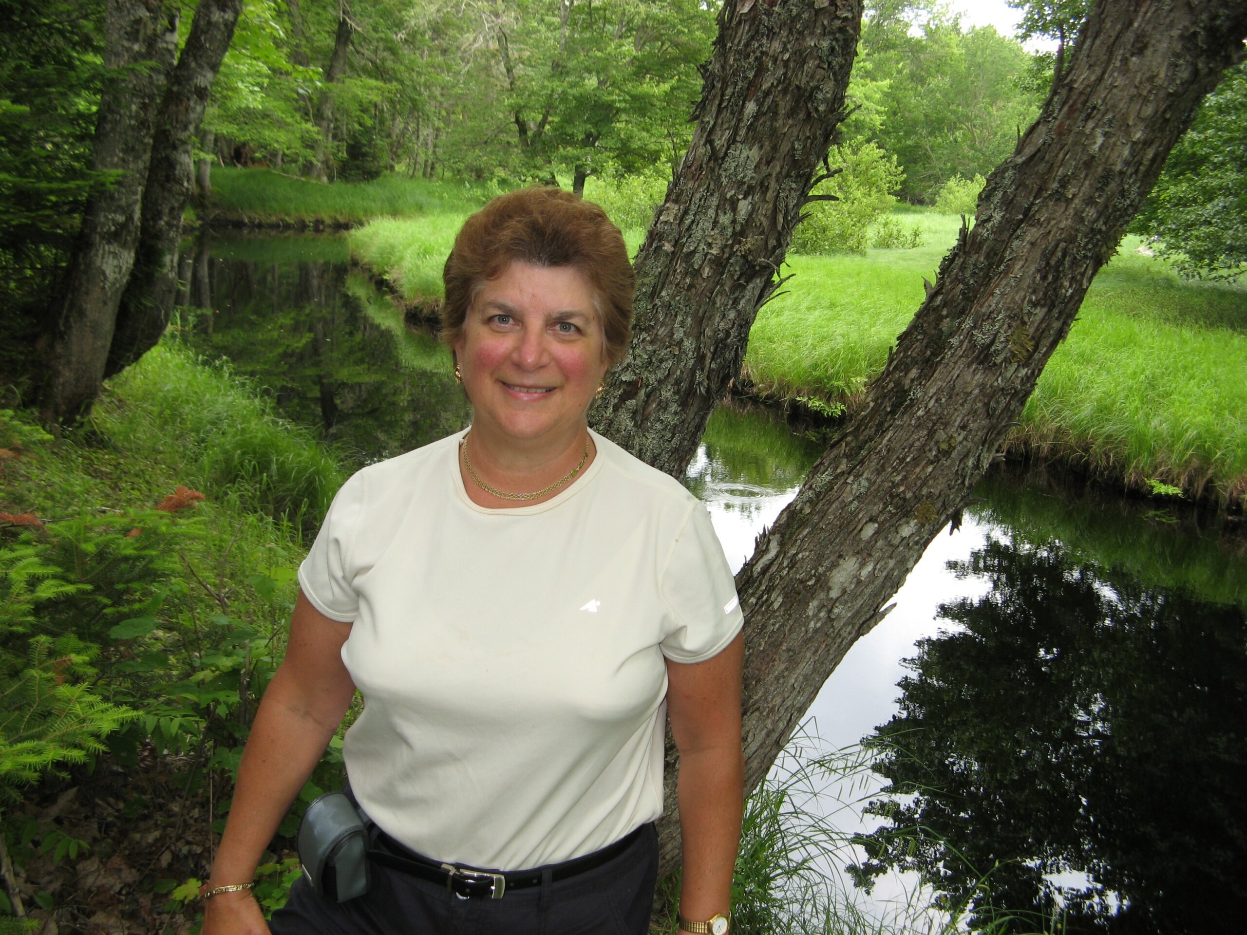leslie scarcello