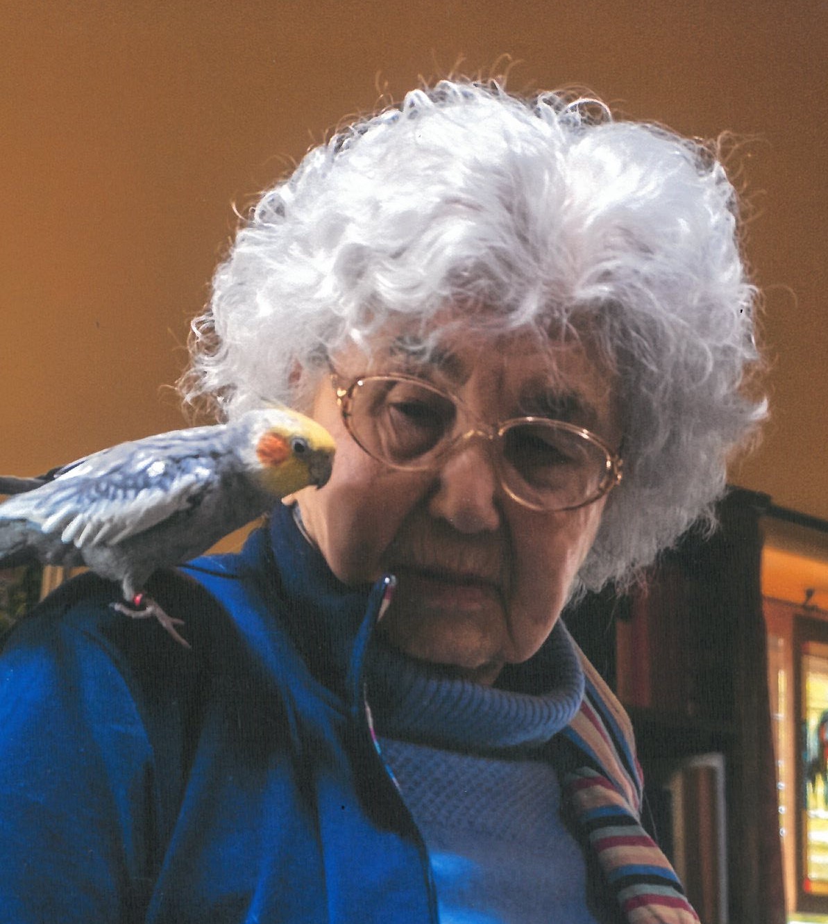 edith colaneri
