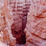 dorothy schneible Gallery