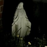 marian bunce Gallery