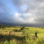 marian bunce Gallery