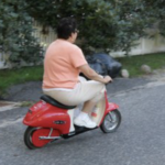 diane dipalo Gallery