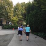 joanne boeger Gallery