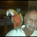 richard monaco Gallery