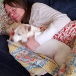 laura cavanagh Gallery