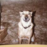 jeffrey grossmann Gallery