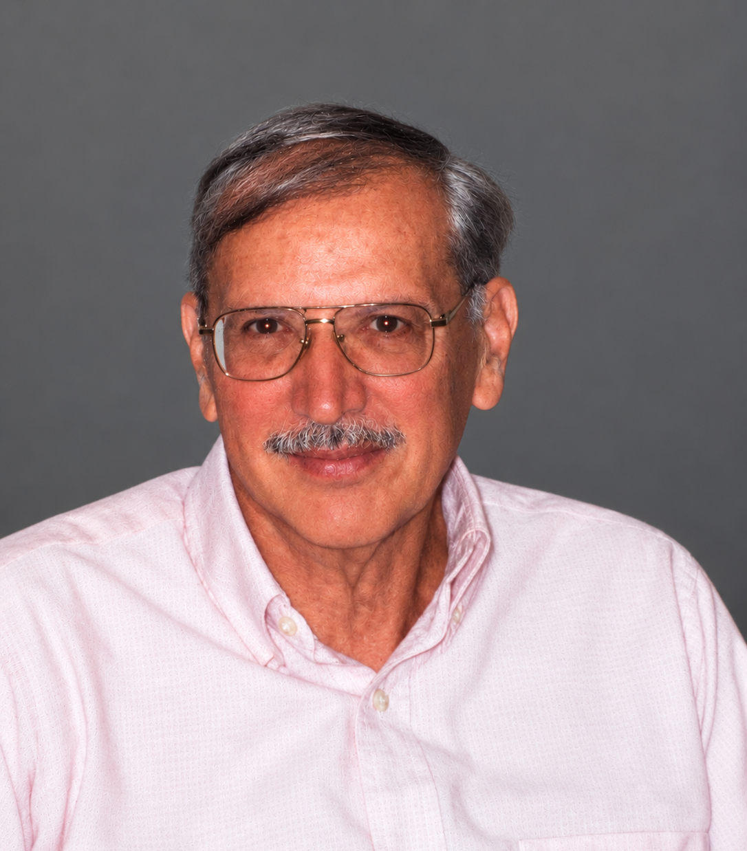 michael dimichele
